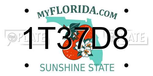 1T37D8 Florida License Plate