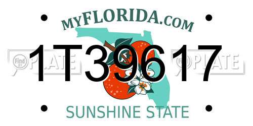 1T39617 Florida License Plate