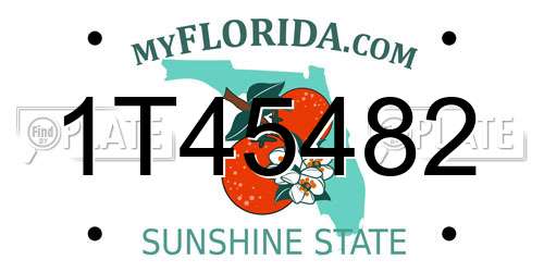 1T45482 Florida License Plate