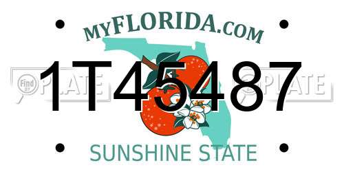 1T45487 Florida License Plate