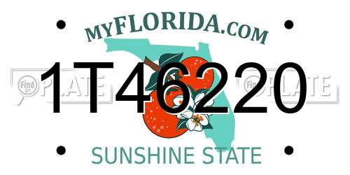 1T46220 Florida License Plate