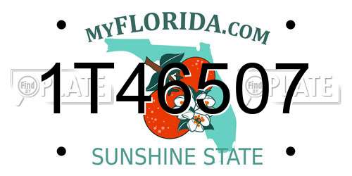 1T46507 Florida License Plate
