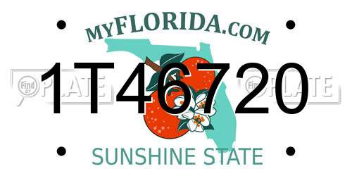 1T46720 Florida License Plate