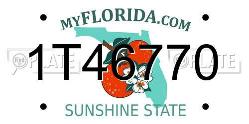 1T46770 Florida License Plate