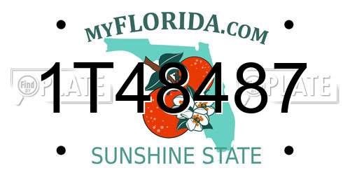 1T48487 Florida License Plate