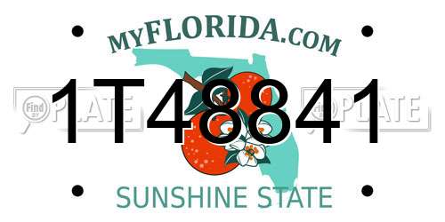 1T48841 Florida License Plate