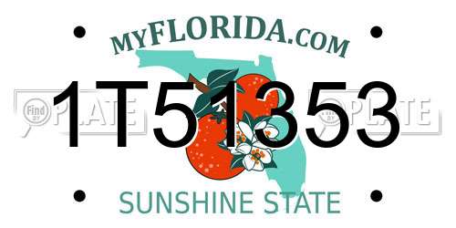 1T51353 Florida License Plate