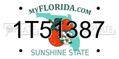 1T51387 Florida License Plate
