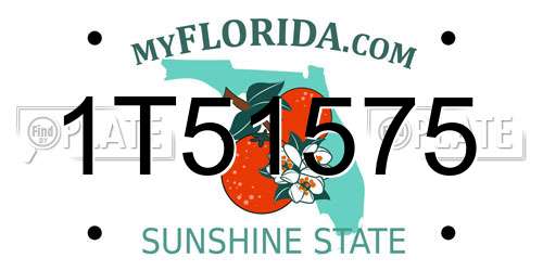 1T51575 Florida License Plate