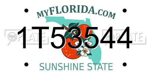 1T53544 Florida License Plate