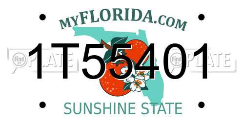 1T55401 Florida License Plate