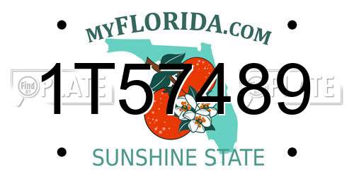 1T57489 Florida License Plate