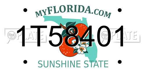 1T58401 Florida License Plate
