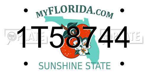 1T58744 Florida License Plate