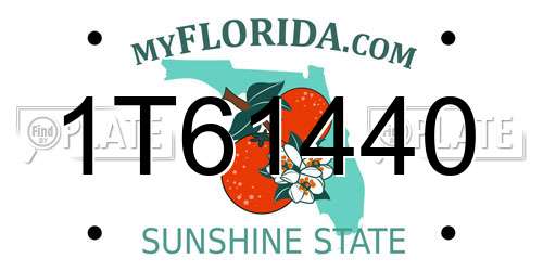 1T61440 Florida License Plate