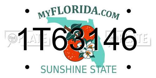 1T63146 Florida License Plate