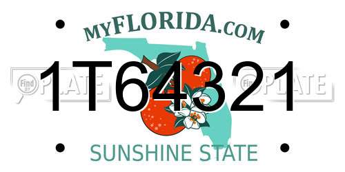 1T64321 Florida License Plate