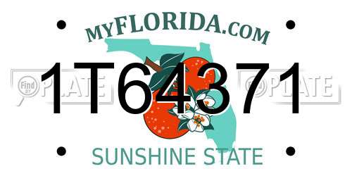 1T64371 Florida License Plate