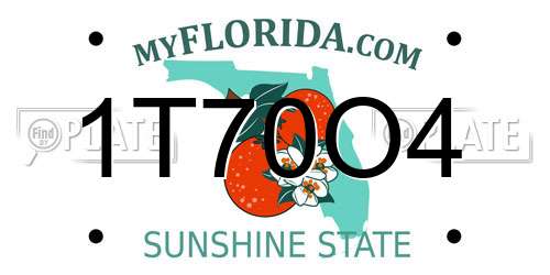 1T70O4 Florida License Plate