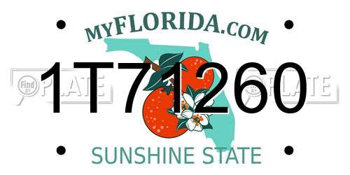 1T71260 Florida License Plate