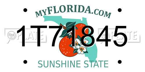 1T71845 Florida License Plate
