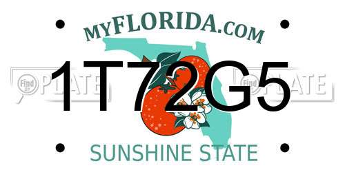 1T72G5 Florida License Plate