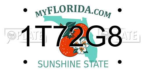 1T72G8 Florida License Plate