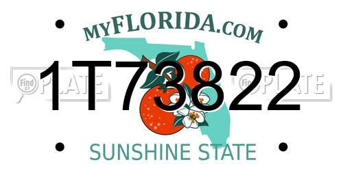 1T73822 Florida License Plate