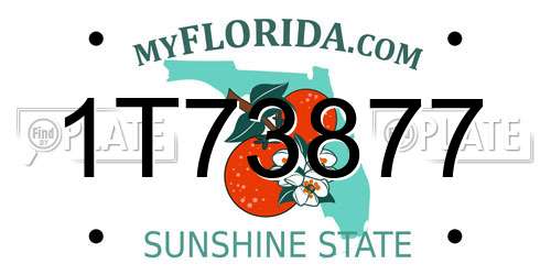 1T73877 Florida License Plate