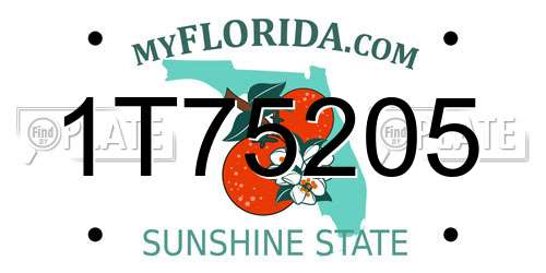 1T75205 Florida License Plate