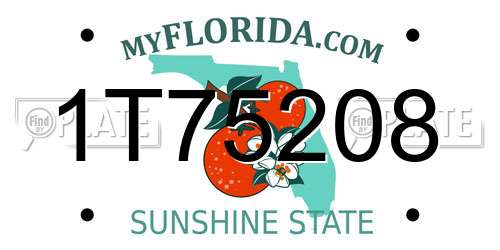 1T75208 Florida License Plate