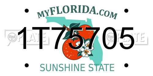 1T75705 Florida License Plate