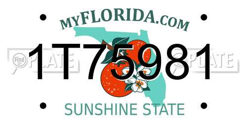 1T75981 Florida License Plate