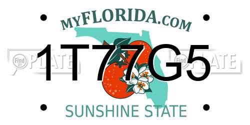 1T77G5 Florida License Plate