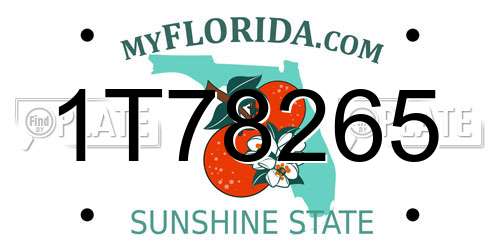 1T78265 Florida License Plate