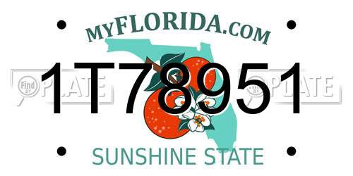 1T78951 Florida License Plate