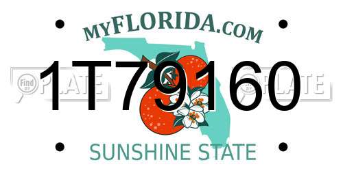 1T79160 Florida License Plate
