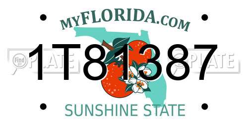 1T81387 Florida License Plate
