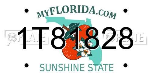 1T81828 Florida License Plate