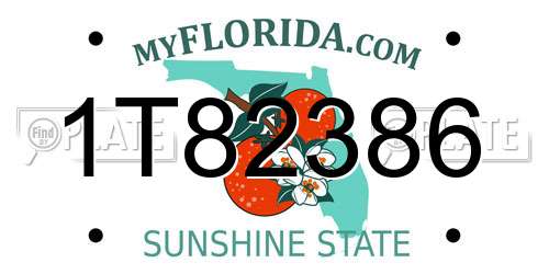 1T82386 Florida License Plate