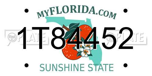 1T84452 Florida License Plate