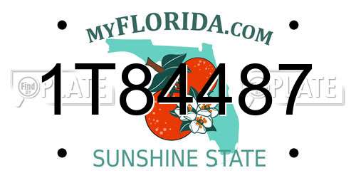 1T84487 Florida License Plate