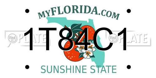 1T84C1 Florida License Plate