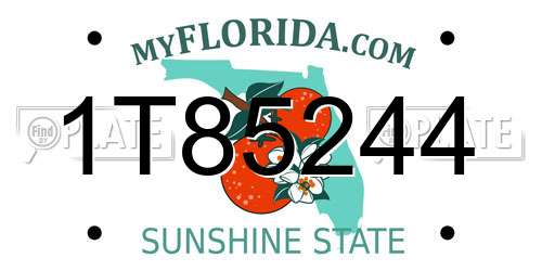 1T85244 Florida License Plate