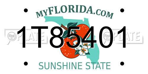 1T85401 Florida License Plate