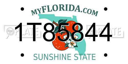 1T85844 Florida License Plate