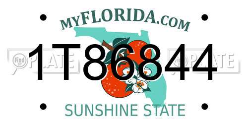 1T86844 Florida License Plate