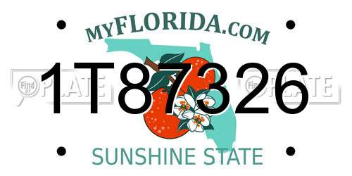 1T87326 Florida License Plate