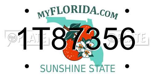 1T87356 Florida License Plate