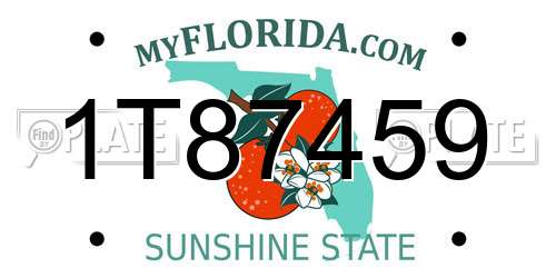 1T87459 Florida License Plate